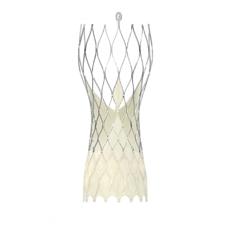 Аортальний клапан для транскатетерної установки (біопротез) Еволют ПРО+, 23 мм (mm), Катерна система доставки та Cистема завантаження Еволют ПРО+, 23-29мм (mm)